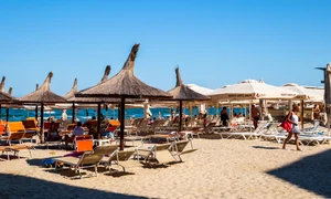 1 mamaia 3col shutterstock 1442118281 1 jpeg