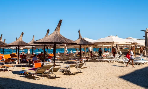 1 mamaia 3col shutterstock 1442118281 1 jpeg