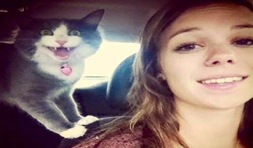Un protest clar împotriva pozelor selfie! jpeg