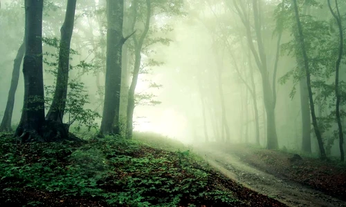 1 55068 original jpg jpeg