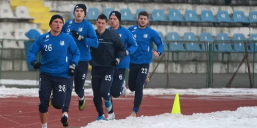 Pandurii