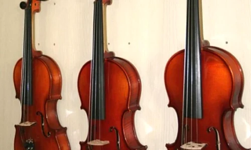 Expoziţie de instrumente muzicale şi concerte, la Muzeul Enescu jpeg