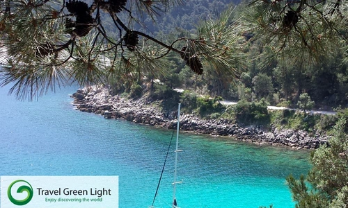 1 62366 original jpg jpeg