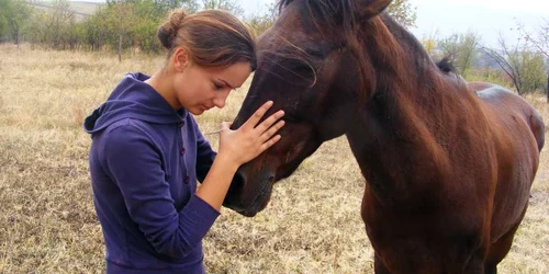 o vecină îl alintă pe calul în suferinţă