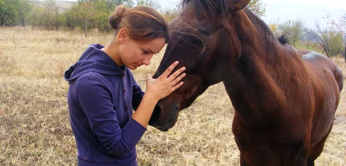 o vecină îl alintă pe calul în suferinţă