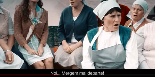 fructe 