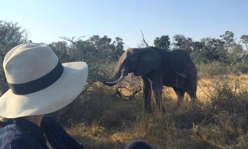 nickyhiltonelefanti jpeg