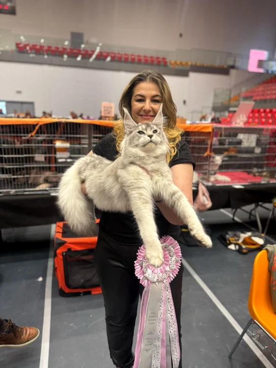Salonul Internațional Felin SofistiCAT (4) jpeg