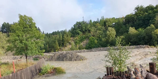 vitura vrancea zabala