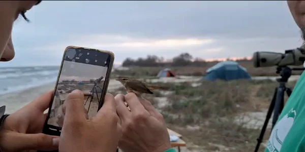 WhatsApp Video 2023 10 31 at 18 08 39 mp4 thumbnail png