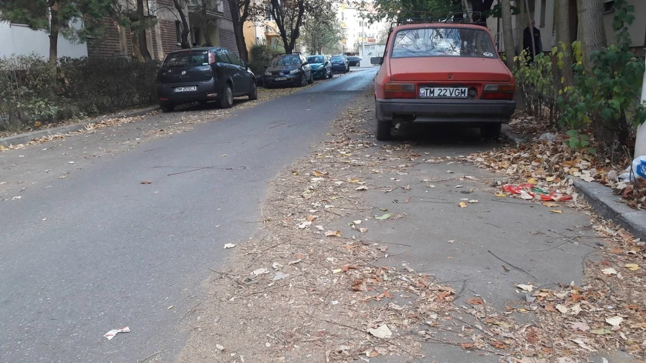 Gunoi în Timişoara
