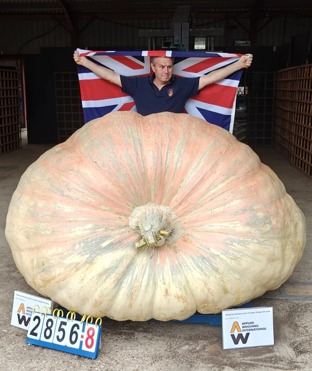 Ian Paton a cultivat dovleacul gigant în grădina sa