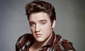 eeeeeeeeeeeeeeeeeeeeeellllllllllllllllllll png