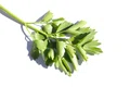 shutterstock 1728399802 1 jpeg