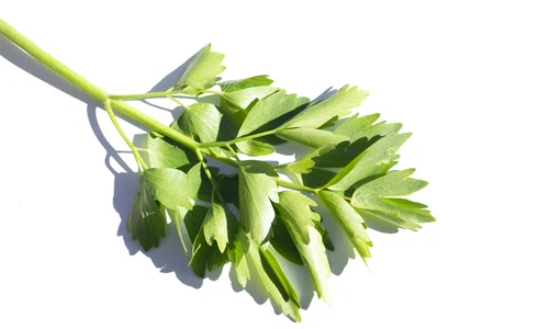 shutterstock 1728399802 1 jpeg