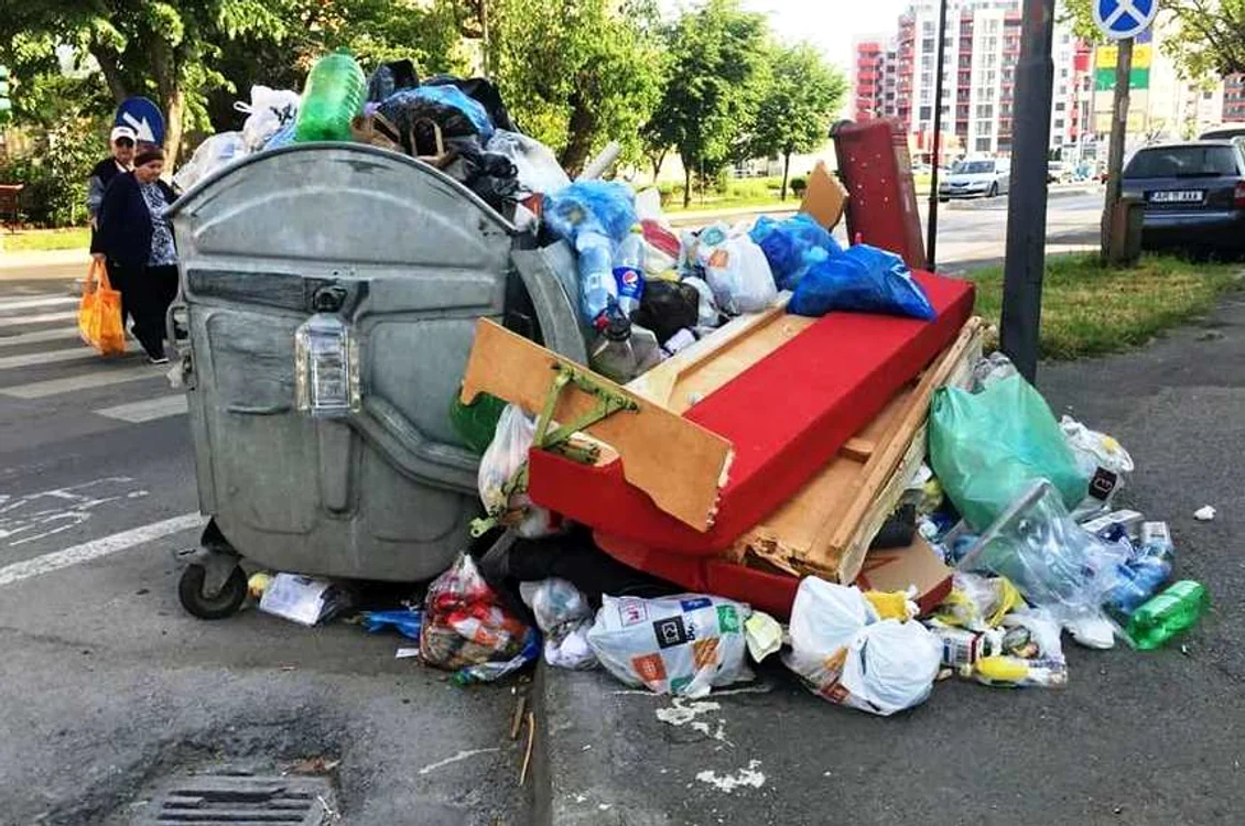 
    Situația deșeurilor din sectorul 1 al Capitalei nu este deloc una rozfoto: News.ro  