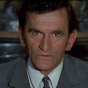 puiu calinescu jpg