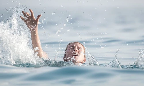 1 shutterstock 698646385 jpg jpeg