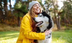 caine_animal_shutterstock 2461183963 jpg