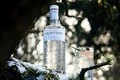 gin 2 jpeg