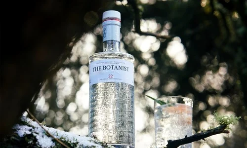 gin 2 jpeg