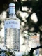 gin 2 jpeg