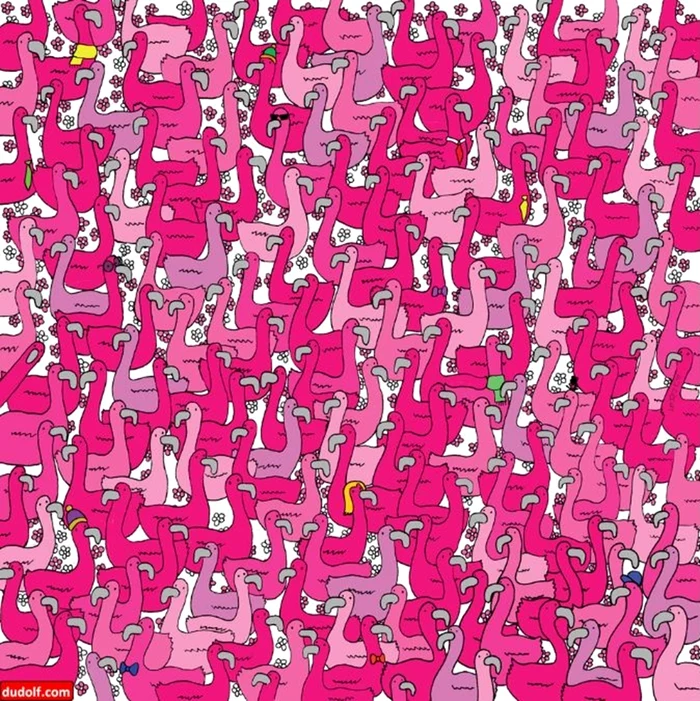 Testul trebuie rezolvat în doar 25 secunde / foto: Dudolf