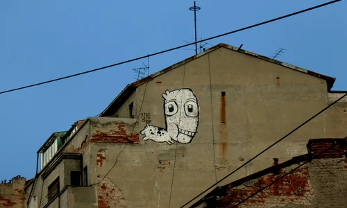 Cine este PisicaPătrată? jpeg