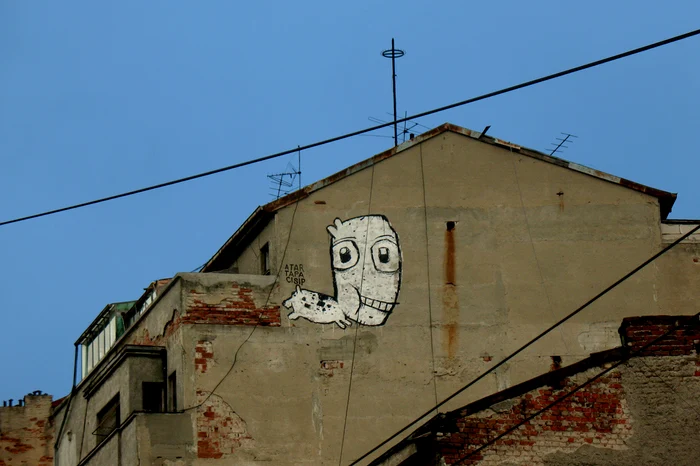 Cine este PisicaPătrată? jpeg