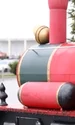 Ela Crăciun a adunat 55.000 de euro la Festivalul Brazilor de Crăciun foto: arhiva personală 