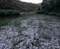 Lacul Cincis din Hunedoara Foto Daniel Guță ADEVĂRUL (71) JPG