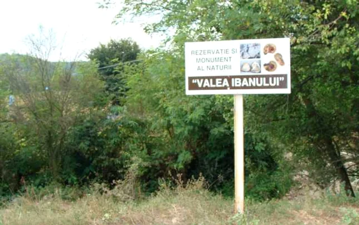 Valea Ibanului 