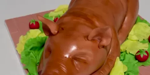 Tort în formă de purcel de lapte Video   Raluca Țîrcomnicu mp4 thumbnail png