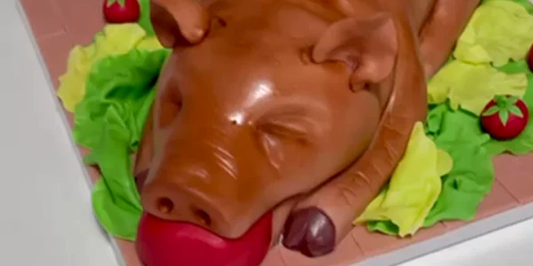 Tort în formă de purcel de lapte Video   Raluca Țîrcomnicu mp4 thumbnail png