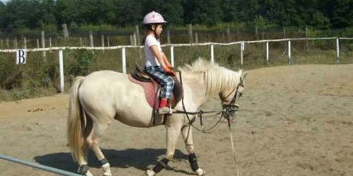 Satu Mare: Distracţie călare în weekend