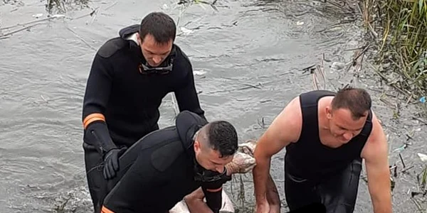 calarasi barbatul inecat in balta mostistea a fost gasit foto isu calarasi