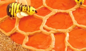 1365439348 9499tort 20albinaa jpeg