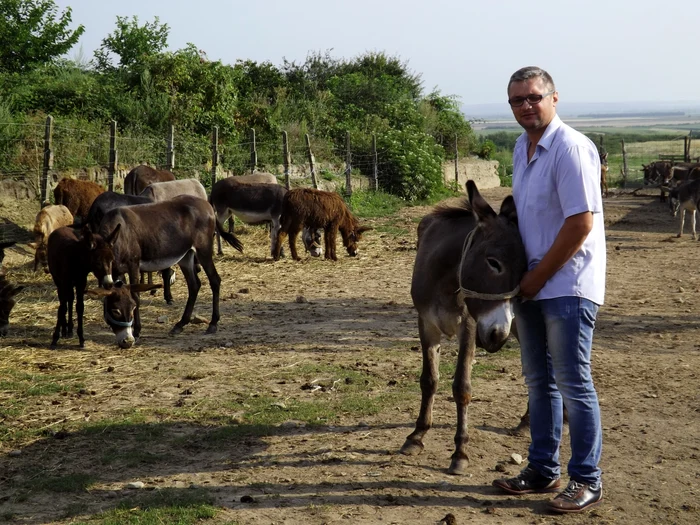 
    Călin Nistor, unul dintre cei doi proprietari ai fermei de la CauaceuFoto: "Adevărul"  