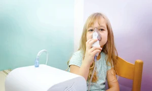 shutterstock 774752905 jpg