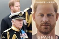 Prințul Harry, Regele Charles  sursa   Getty, Profimedia jpg