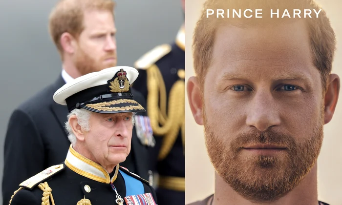 Prințul Harry, Regele Charles sursa Getty, Profimedia jpg