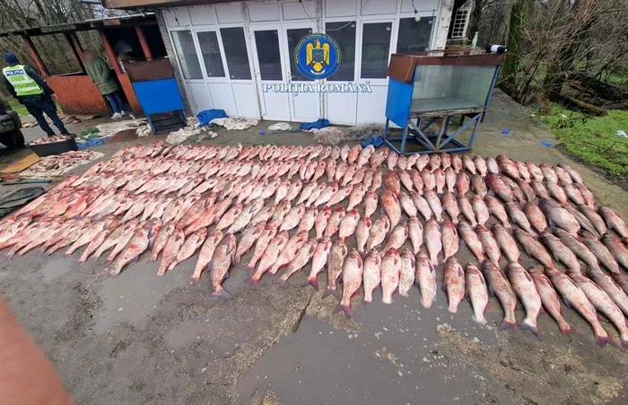 Captură de pește în Teleorman FOTO: IPJ Teleorman