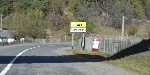 Pentru defrişările şi jaful din pădurile de pe Valea Muntelui nu există vinovaţi  FOTO Mircea Merticariu
