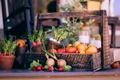 vegetable basket 349667 1280 jpg