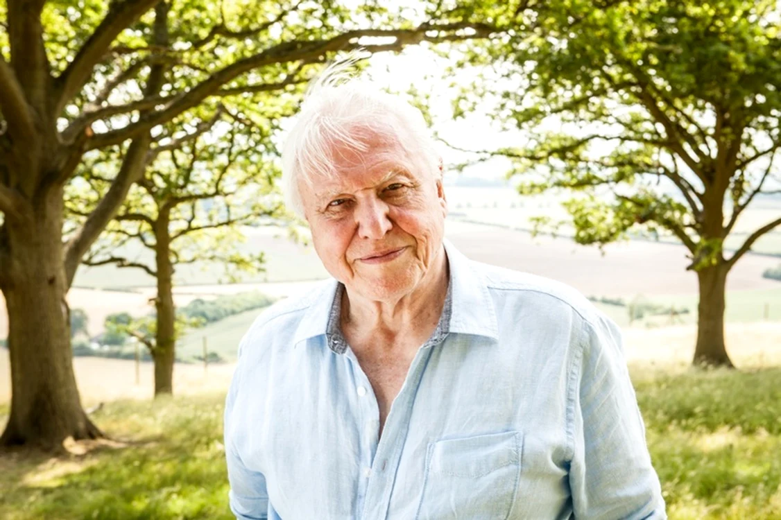 David Attenborough a împlinit 100 de ani. 
