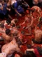 tomatina 2023 profimedia1 jpg