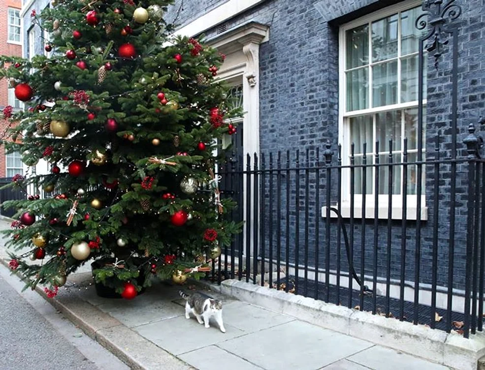 8 craciun in 10 downing st 3 jpg jpeg