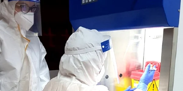 real time pcr