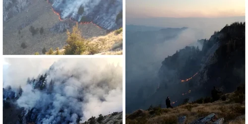 incendiu apuseni