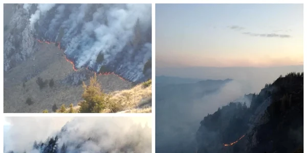 incendiu apuseni
